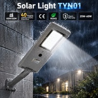Lampu Parkir Tenaga Surya 60W Mudah Dipasang, Peredupan Cerdas, Sensor Radar Jarak Jauh, Lampu Jalan LED Komersial