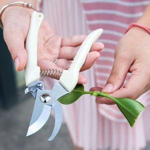 Premium <b>Pruning</b> Shears Stainless Steel 10-20 Mm Manual For Fruit <b>Trees</b> Elbow Butterfly Design Gray Right Hand - Product Image 1