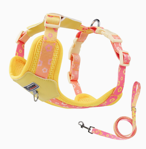 Kangdarpet Padded for <strong>Small</strong> Medium <strong>Dogs</strong> Pomeranian Colorful Outdoor Leash Breathable Design <strong>Dog</strong> Chest <strong>Harness</strong> - Product Image 4