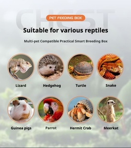 Boîte d'élevage pour reptiles avec porte coulissante, isolation thermique, terrarium, cage de présentation multi-tailles - Product Image 5