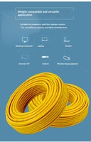 Câble réseau Cat6 non blindé en PVC jaune Super 6, cuivre sans oxygène, paire torsadée à quatre paires, 300 mètres, Gigabit 058