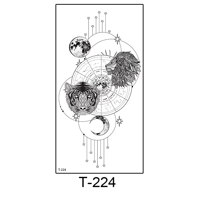 T-224
