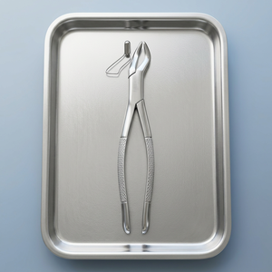 Pinzas de Extracción Dental, Modelo Americano, Acero Inoxidable, Manuales - Product Image 2