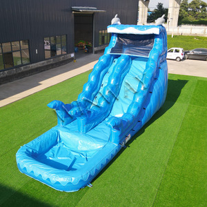 Tobogán Acuático Comercial, <span class=keywords><strong>Castillo</strong></span> Inflable con Toboganes de Agua para Niños y Adultos, Tobogán Acuático Inflable para Exteriores con Piscina para Alquiler para Fiestas - Product Image 1
