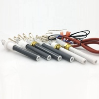 100V 120V 220V 230V 240V 270 V 230 W 200W 300W 315W Allumeur de chauffage en alumine à surface chaude avec bride