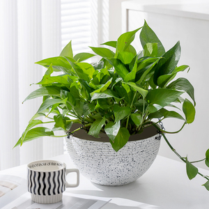 Grand pot suspendu en plastique, finition mouchetée, design de bol côtelé, <span class=keywords><strong>suspension</strong></span> par chaîne en fer pour jardin, balcon, intérieur - Product Image 5
