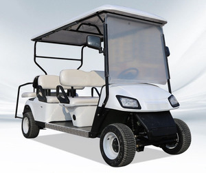Chariot de golf électrique personnalisé 6 places, 3 roues, 36V, batterie lithium-ion, pneus, pièces et équipement pour buggy et trolley - Product Image 3