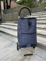 Chariot de courses pliable à 2 poignées en plastique, ultra-léger et portable, écologique, facile à transporter, capacité de 55 L, 6 roues, résistant à l'usure