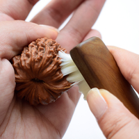 Mini brosse de nettoyage DIY OEM à manche en bois blanc, à dents crantées et à dix mille poils durs