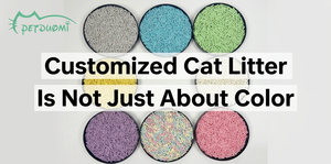Livraison rapide, haute absorption, légère, douce, litière pour chat sans poussière, désodorisante, litière pour chat au tofu - Product Image 2