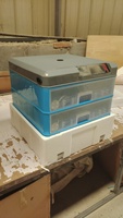 Incubateur domestique mini automatique intelligent à double alimentation pour 36 œufs – Offre d'usine à prix abordable