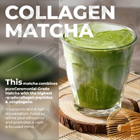 Poudre de Collagène Matcha Hydrolysée JBY OEM Saveur Matcha pour une Peau Éclatante et Lumineuse, Blanchiment de la Peau, Beauté