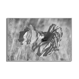 Offre Spéciale – Tableau Mural Moderne et Élégant DXBD063A – Impression Encadrée sur Toile – Fleurs et Animaux – Poster Mural Contemporain DX - Product Image 1