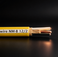 Kabel Romex Berisolasi Non-Logam NM-B 600V Kabel Listrik Tembaga Dalam Ruangan Kabel Daya Hunian Dalam Ruangan Pasokan Pabrik