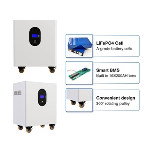 Batterie LiFePO4 51,2 V CAN IP20 100 Ah 200 Ah 300 Ah 5-15 kWh Tout-en-un Garantie 8 ans Stockage d'énergie domestique sur pied - Product Image 4