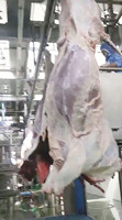 Machine d'abattage automatique halal à haute efficacité, nouvel équipement d'abattage pour moutons et bovins, pour ferme et restaurant, en acier
