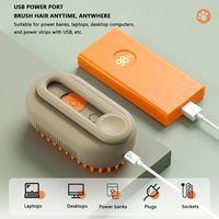 Brosse de toilettage vapeur en silicone rechargeable et sûre pour animaux de compagnie, peigne démêlant en plastique souple pour chiens et chats à poils longs ou courts