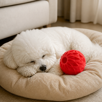 Balle distributrice de friandises pour chien en TPE à texture diamant, balle interactive à libération de nourriture, jouet à mâcher résistant aux morsures pour chiens