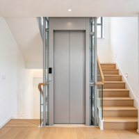 Ascenseur Domestique Prix Direct Usine, Montée de Plancher Résidentielle pour Maison, Villa, Duplex, Cabine Personnalisée, Finition Acier Inoxydable