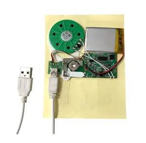 工厂便宜的USB声音模块音乐IC芯片贺卡可编程声音模块邀请卡礼品盒
