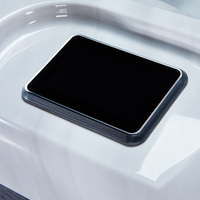 Bain à remous carré moderne VIRLUX en acrylique pour couples, 25 jets d'hydrothérapie, écologique, panneau de commande intelligent, utilisation extérieure