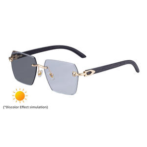 Gafas de Sol Fotocromáticas de Lujo para Hombre, Montura Cuadrada sin Marco, Lentes de PC con Protección UV400, Montura de Metal Negro y Plástico, Diseño de Cabeza de Leopardo - Product Image 4