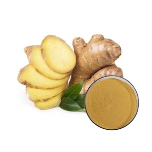 31 Years <strong>Manufacturer</strong> Direct Supply High Quality <strong>Ginger</strong> <strong>Rhizome</strong> Plant <strong>Extract</strong>