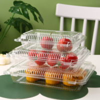 Herbruikbare PET clamshell fruitdoos, transparante plastic voedselverpakking met doorzichtig deksel voor bakkerijproducten en retailverpakkingen