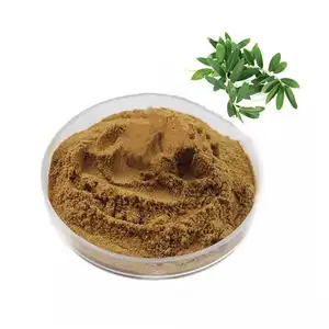 Olive Leaf Extract Oleuropein Bulk Poeder Cas 32619-42-4
