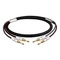 Câble audio HIFI C1 4MM 2 bananes mâle-mâle, avec cœurs plaqués argent et fiches plaquées or, 8 fiches bananes remplaçables pour haut-parleur
