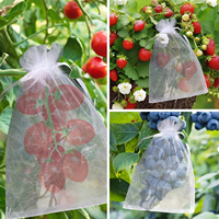 Extra große weiß-grüne Trauben-Erdbeer-Frucht-Gemüse-Schutzbeutel aus Organza-Netzgewebe mit Kordelzug gegen Insekten