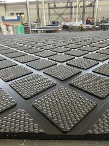 Tapis en caoutchouc antidérapant <span class=keywords><strong>de</strong></span> 17 à 25 mm pour les salles <span class=keywords><strong>de</strong></span> traite et les stalles <span class=keywords><strong>de</strong></span> vaches pour un confort et une sécurité maximum - Product Image 5