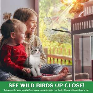 Comedero para pájaros con ventana con 4 ventosas extrafuertes, Casa Grande para pájaros al aire libre para cardenales Bluebird Chickadees, etc. - Product Image 6