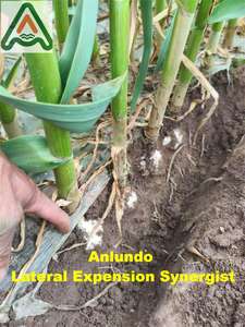 Solution nutritive personnalisée pour l'agriculture en gros OEM 2025, sac de poudre soluble dans l'eau, <span class=keywords><strong>engrais</strong></span> organique NPK, oligo-marines n°2 - Product Image 6