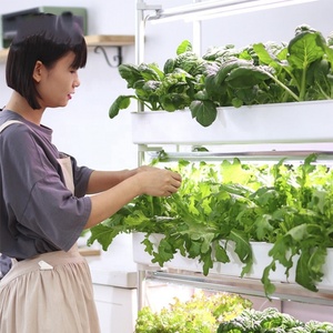 Nuevo Sistema de Cultivo Hidropónico Inteligente para Interiores, Jardín Vertical Inteligente para el Hogar - Product Image 4