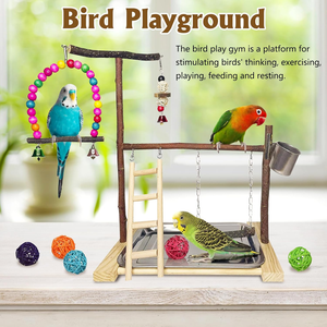 Parque de juegos para pájaros, soporte de juego para loros, soporte de juego para cacatúas, percha de madera, centro de actividades, escaleras, comederos, accesorios para mascotas - Product Image 3