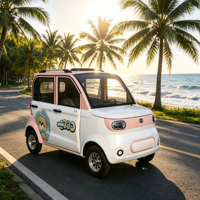 LANGTUO Vente à prix réduit de véhicules électriques avec porte-bagages, 4 portes et 4 sièges, faible vitesse, autonomie <100 km