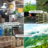 Großhandel Jasmin-Schwarzteebeutel ab Werk, Pyramiden-Jasmin-Grünteebeutel einzeln verpackt