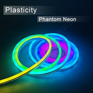 16.4ft ngoài trời không thấm nước rgbic linh hoạt Led dây dải đèn 24V năng động Neon màu Kit USB đồng cho cảnh quan cuttable - Product Image 5