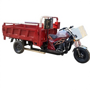 Triciclo Motorizado de Carga de Alta Calidad con Plataforma Abierta, Harmony 200-250W 36V, Alta Velocidad, Máxima Capacidad de Carga - Product Image 1
