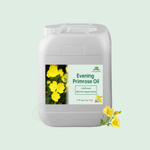 Kostenlose Probe Private Label Reines Natürliches Bio-Nachtprimelöl für Haut- & Körpermassage Hersteller Großhandel Bulk - Product Image 3