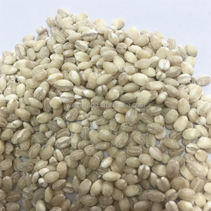 Grano <span class=keywords><strong>de</strong></span> <span class=keywords><strong>trigo</strong></span> integral orgánico <span class=keywords><strong>de</strong></span> alta calidad <span class=keywords><strong>de</strong></span> gran venta a precio barato <span class=keywords><strong>granos</strong></span> nutritivos y saludables - Product Image 2