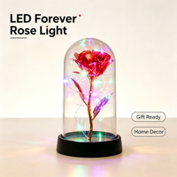 Lampe LED Rose en Feuille d'Or en Gros d'Usine, Veilleuse Fleur Éternelle, Cadeau Romantique pour la Saint-Valentin, Décoration de Table et d'Intérieur