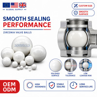 Billes de soupape en zircone blanche SDBALLS 12,7 mm 15 mm 20 mm 25,4 mm 30 mm, billes de pompe en céramique ZrO2 pour clapet anti-retour, débitmètre, pièces d'étanchéité