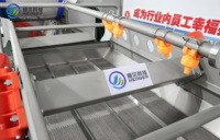 Ligne de production pour le lavage, l'inspection lumineuse et le séchage à l'air des myrtilles, fraises et canneberges, destinée aux légumes coupés frais et aux salades