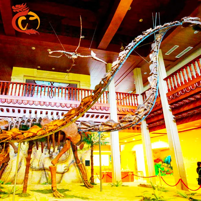Museum decoration high quality artificial dinosaur fossil skeleton exhibit for playground