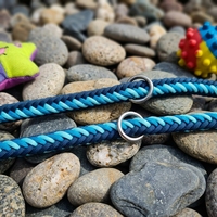 Laisse pour chien en paracorde tressée faite à la main, de luxe, personnalisée, robuste, à deux poignées, mains libres, imperméable, avec nom personnalisé