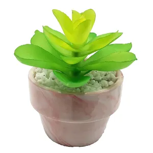 JF Customize Mini Ceramic Succulent Wedding Party Decoration Artificial Fleshy Potted