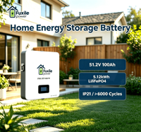 Système de stockage de batterie solaire LiFePO4 mural 51,2 V 100 Ah CAN IP65 5,12 kWh 6000 cycles pour maison, pack d'énergie solaire 16S1P