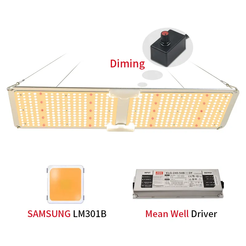 Ppdfフルスペクトルランプcfl200w200ワット200wワット320wLEDグローライト